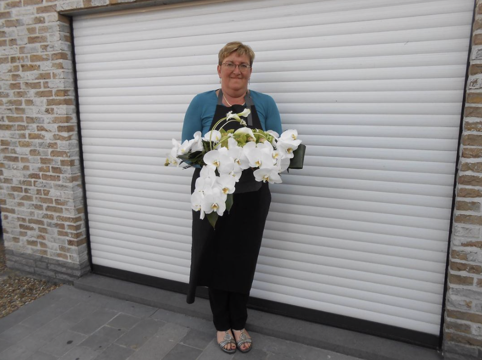 Diana Van Hemelrijck